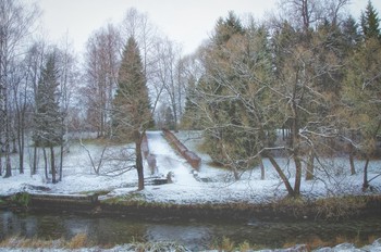 Туманное утро. / Павловский парк. Утро.Любимое место для прогулок. Тихо и спокойно.