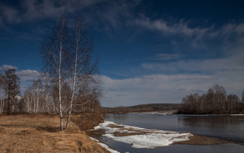 Ока весенняя (2) / ***