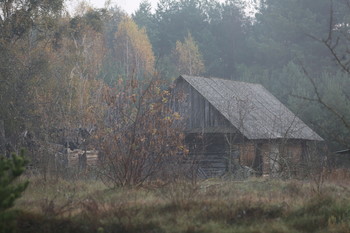 дымка / Беларусь деревня