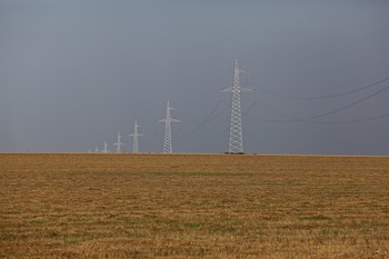 поле / Беларусь гродненская область