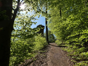  / der Weg zum Rodeneckturm über der Stadt Höxter