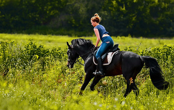 Девушка-конник / Тренировка перед соревнованием.