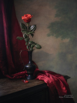Ода Алой Розе / классический цветочный натюрморт