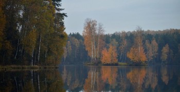 Осенняя тишина............ / Петербург. Осиновая Роща. Октябрь