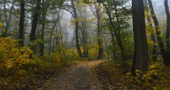 В осеннем лесу..... / Железноводск. Октябрь