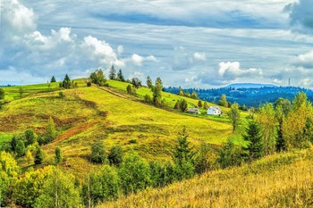 Закарпатские сюжеты / ***