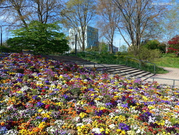 Planten un Blomen Hamburg / Слайд-шоу &quot;Парк цветов летом&quot;

https://www.youtube.com/watch?v=glVWjqRqZr0

Слайд-шоу &quot;Парк цветов весной&quot;

https://www.youtube.com/watch?v=kJVKlWcQxCg

Слайд-шоу &quot;Парк цветов осенью&quot;

https://www.youtube.com/watch?v=_Q7gRXGUa5A

Слайд-шоу &quot;Розы&quot;

https://www.youtube.com/watch?v=2jSTxDgGqsI

Слайд-шоу &quot;Цветы&quot;

https://www.youtube.com/watch?v=JYadETNgWMY

&quot;Парки&quot;: http://fotokto.ru/id156888/photo?album=75053# «Пейзаж»: http://fotokto.ru/id156888/photo?album=76852
этюды»: http://fotokto.ru/id156888/photo?album=66289 «Цветы»: http://fotokto.ru/id156888/photo?album=63914