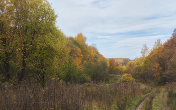 Дорога в осень / осенние пейзажи