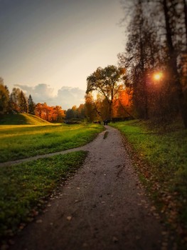 Дорога в облака / Павловский парк в октябре 2019 года.
Автор фото: Анастасия Белякова