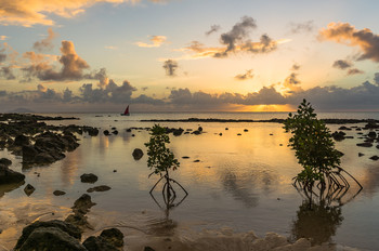 Рассвет на Маврикии / Индийский океан