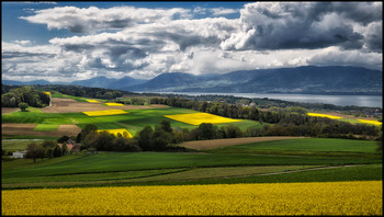  / Panorama