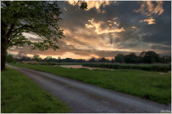 Landscape in Northern Germany / Late afternoon in the nature