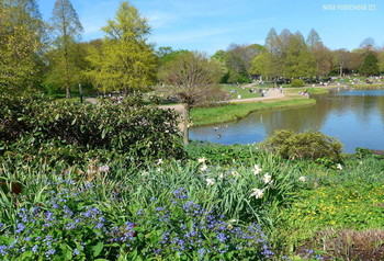 Planten un Blomen Hamburg / &quot;Парки&quot;: http://fotokto.ru/id156888/photo?album=75053# «Пейзаж»: http://fotokto.ru/id156888/photo?album=76852
этюды»: http://fotokto.ru/id156888/photo?album=66289 «Цветы»: http://fotokto.ru/id156888/photo?album=63914
Слайд-шоу &quot;Парк цветов летом&quot;

https://www.youtube.com/watch?v=glVWjqRqZr0

Слайд-шоу &quot;Парк цветов весной&quot;

https://www.youtube.com/watch?v=kJVKlWcQxCg

Слайд-шоу &quot;Парк цветов осенью&quot;

https://www.youtube.com/watch?v=_Q7gRXGUa5A

Слайд-шоу &quot;Розы&quot;

https://www.youtube.com/watch?v=2jSTxDgGqsI

Слайд-шоу &quot;Цветы&quot;

https://www.youtube.com/watch?v=JYadETNgWMY