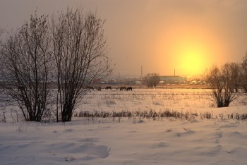 Зимний вечерок / над лугом