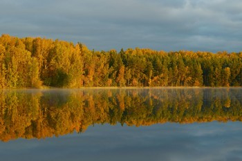 Осенние зеркала........... / Петербург. Осиновая Роща. Октябрь