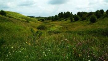 лето овраги / нижегородская