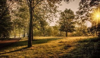 &nbsp; / Утро на озере