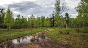 Гром отгремел,прошла гроза... / После весеннего дождя.