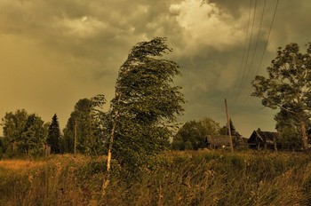 "Деревья ветер гнет и сам шалеет от игры..." / "Стоишь ли, смотришь ли с балкона,
деревья ветер гнет и сам
шалеет от игры, от звона
с размаху хлопающих рам ..."
В.Набоков