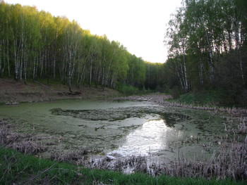 змеиное болото / нижегородская