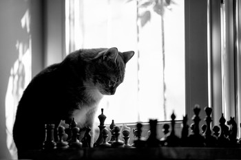 &nbsp; / Если честно, откровенно страдаю фигней на изоляции. Придумали небольшой флешмоб с друзьями &quot;каждый день по фото про то, что окружает&quot;..