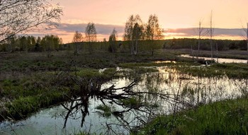 Майские вешние воды / Майские вешние воды