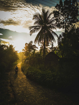 &nbsp; / Morning in Sri Lanka