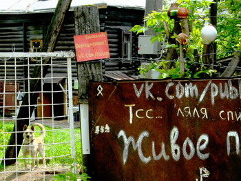 Майские зарисовки / 2015-05-25-656-C50-100(80)


[img]https://i.imgur.com/roNKv2f.jpg[/img]


[img]https://i.imgur.com/bBs9L8J.jpg[/img]


[img]https://i.imgur.com/emJwOpZ.jpg[/img]


[img]https://i.imgur.com/ofQJ0hX.jpg[/img]