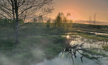 Майское вечернее солнце / Майское вечернее солнце