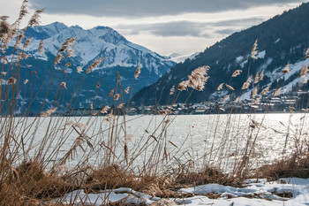 Блики на берегу / Берег озера в Альпах