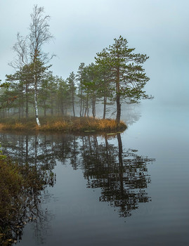 На краю мыса / Из фотопроекта «Магия Ленинградской области».