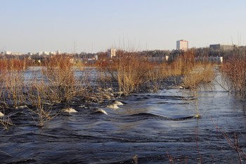 Половодье / Припять