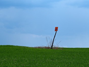 Майские зарисовки / /\/\/\/\