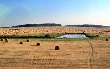 Осенняя зарисовка / Осень, жнивье