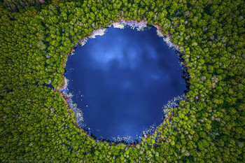 Призрак лесного озера / Озеро идеально круглой формы под Тамбовом