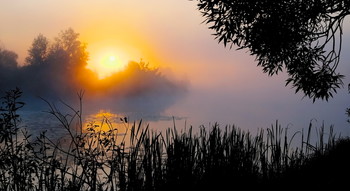 Густой туман. / Туманное утро сентября на озере Сосновое. Юго-восток Московской области.