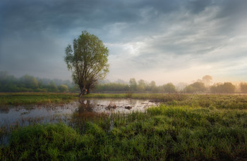 Хмурое утро / ***