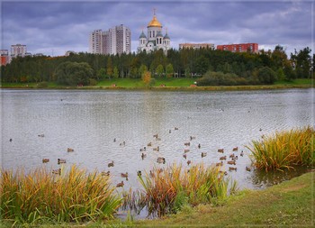 Городская жизнь / ***