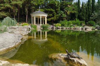 У пруда / Парк Айвазовского один из самых крупных парков южного Крыма.Здесь произрастает более 300 видов деревьев и кустарников.
