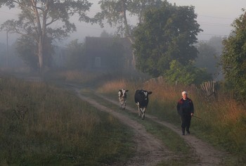 Деревенские будни. Утро ... / "Есть только два плеча на которые ты можешь твердо положиться. Но
каждый раз ты убеждаешься, что эти плечи твои собственные ..."
И.Тургенев