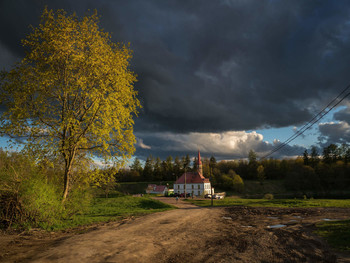 Evening road to the palace. / May evening. Gatchina.