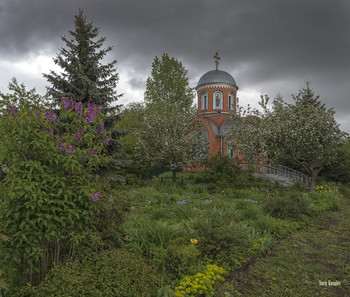 Цветущий май / Май