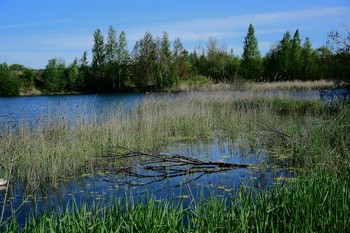 Карьер / Карьер, Ленинградская обл.