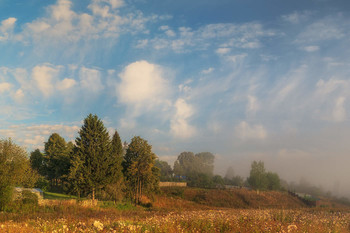Деревенские задворки / Сюжеты лета