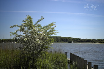 &nbsp; / Am Strand der Schlei in Schleswig.