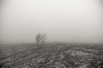 Одиночество / На перевале Крымских гор