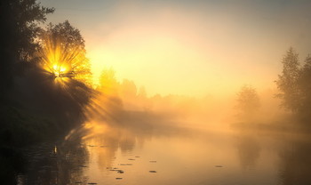 Туманный рассвет на реке Оредеж. / ***