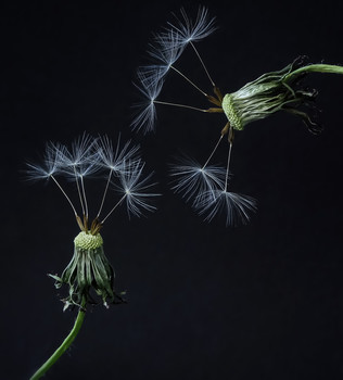 Двое / Последние мнгновенья