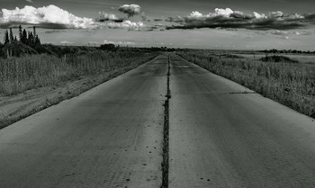 Дорога. / Томская область.