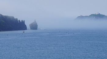 Бухта Патрокл, Владивосток / На побережьях морей туманы образуются при медленном выносе с моря влажного и теплого воздуха на холодную сушу